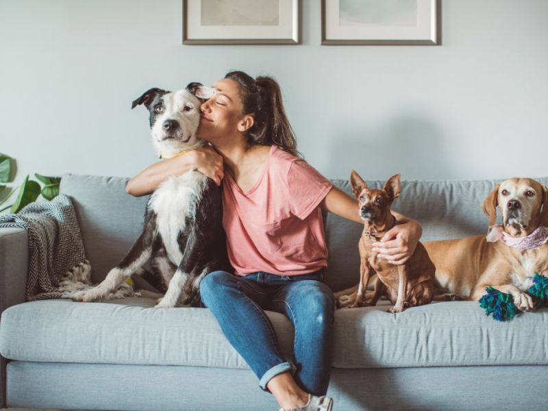 What Is The Average Cost Of Odor Removal In Grand Prairie, TX