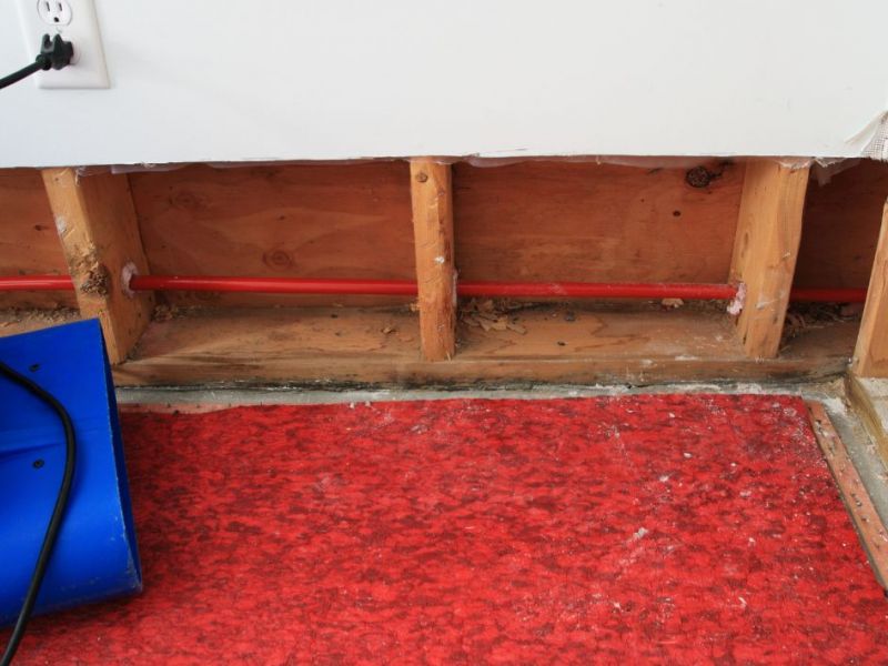 What Is The Average Cost Of Mold Damage Restoration In Fort Worth Tx