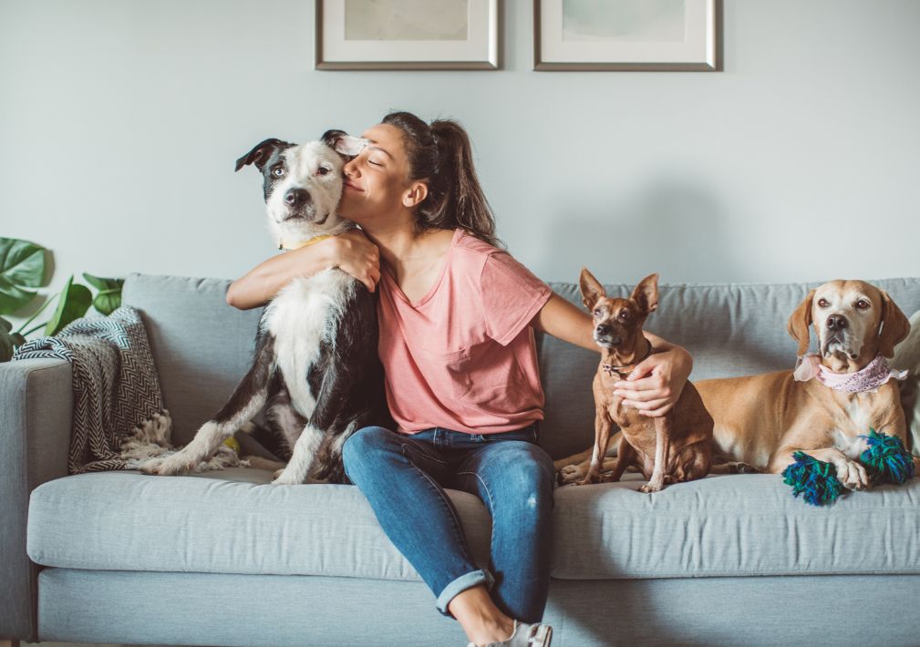 What Is The Average Cost Of Odor Removal In Grand Prairie, TX