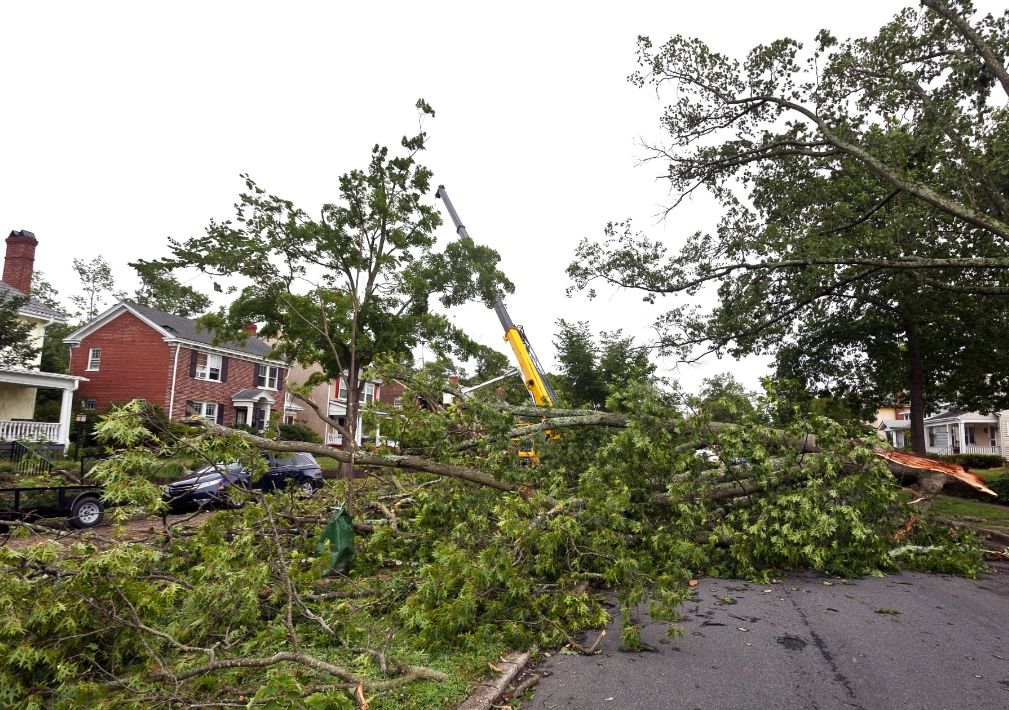 What Is The Average Cost Of Storm Damage Remediation Fort Worth