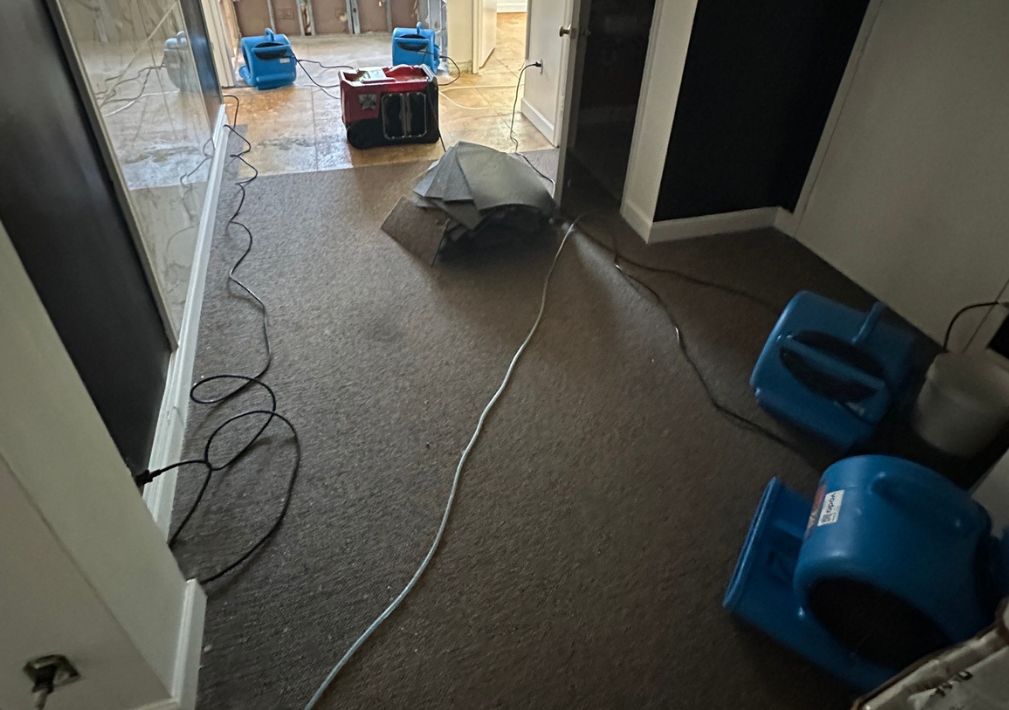 What Is The Average Cost Of Water Damage Restoration In Fort Worth Tx