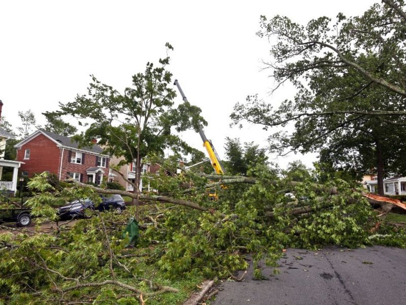 What Is The Average Cost Of Storm Damage Remediation Fort Worth