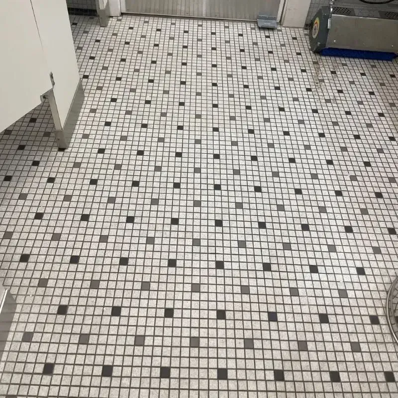 Carpet Cleaning Gallery 20