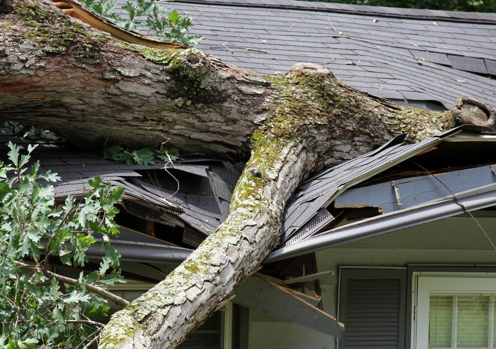 What Is The Average Cost Of Storm Damage Restoration In Grand Rapids Mi