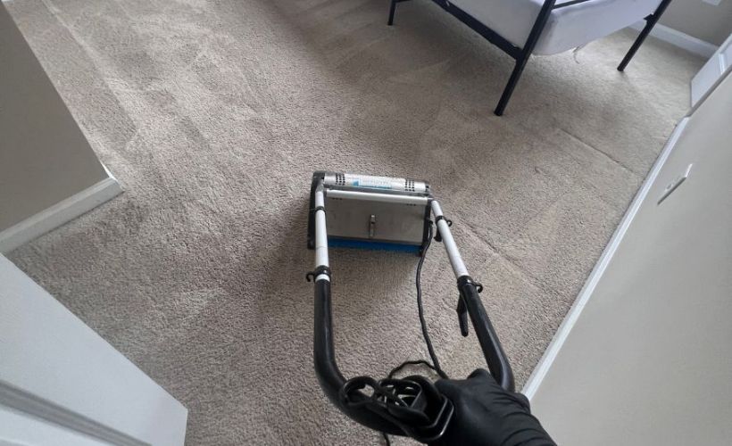 What Is The Average Cost Of Carpet Cleaning In Rockford Mi