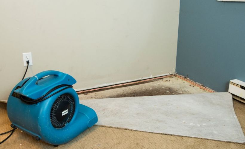 What Is The Average Cost Of Water Damage Restoration In Rockford