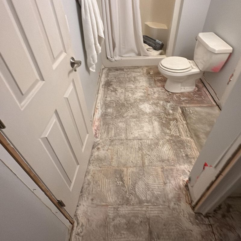 Water Damaged Bathroom Caledonia