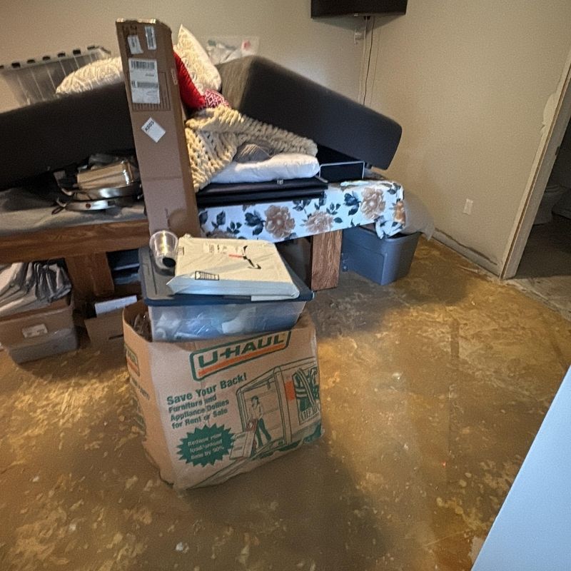 Water Damaged Material Removal Michigan