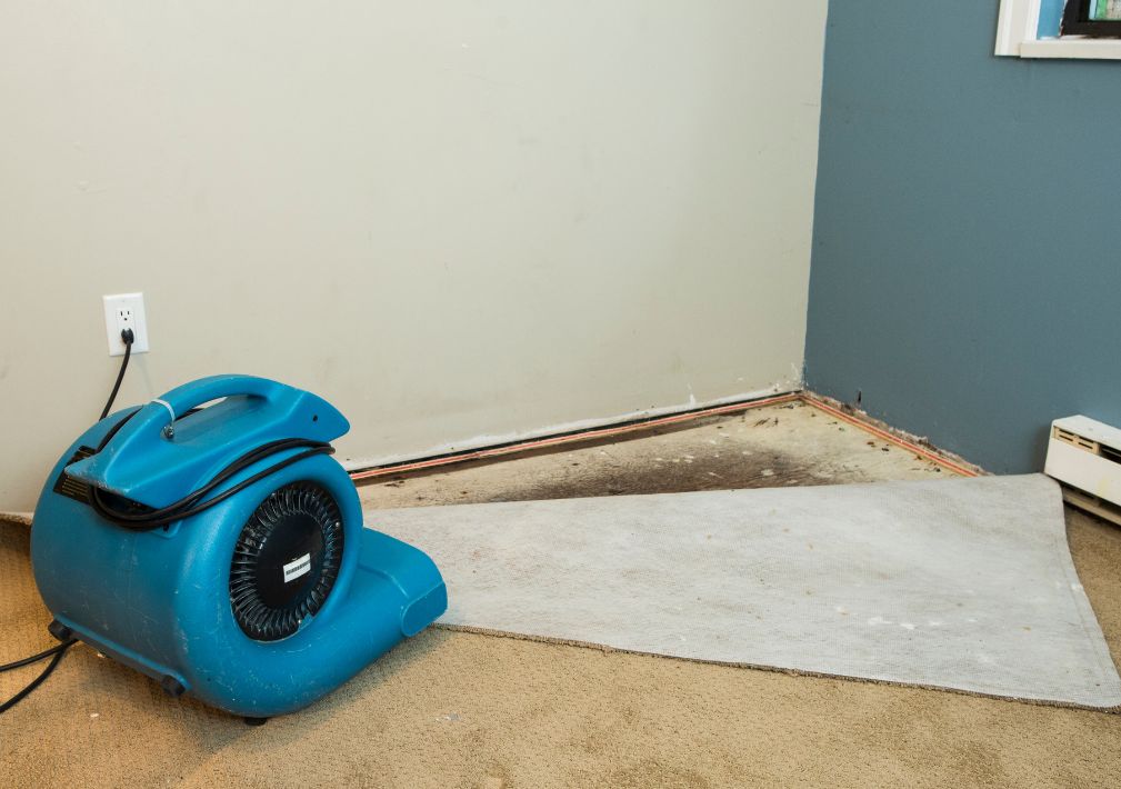 What Is The Average Cost Of Water Damage Restoration In Rockford