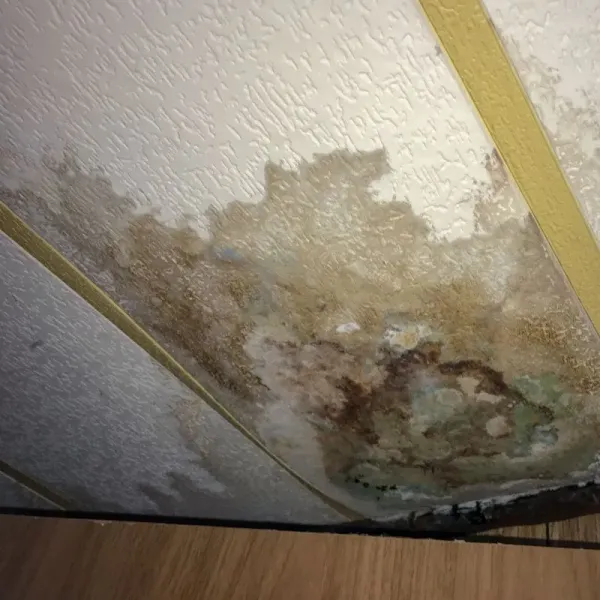 High Quality Sewage Damage Restoration Services