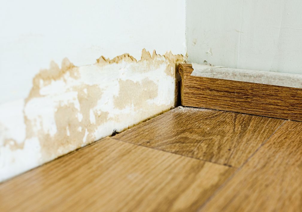 What Is The Average Cost Of Water Damage Restoration In Terrell