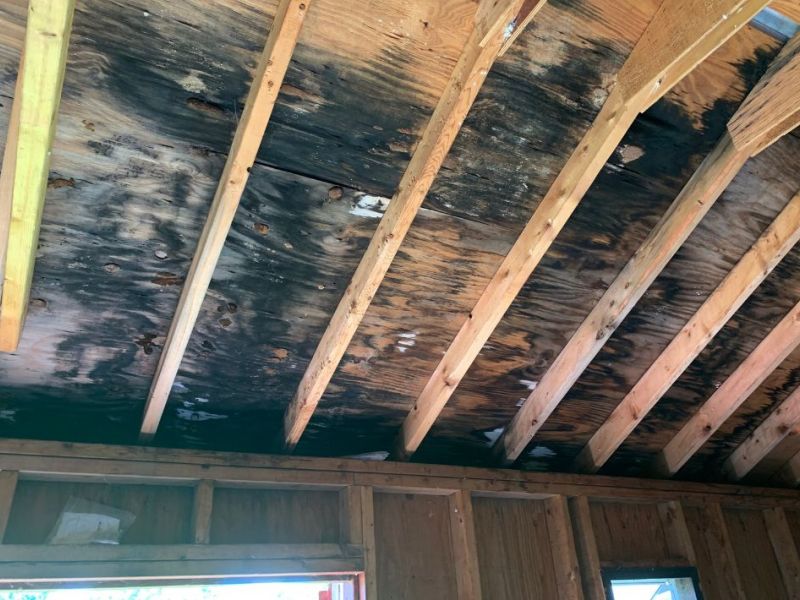 What Is The Average Cost Of Mold Damage Restoration In Fort Mill Sc