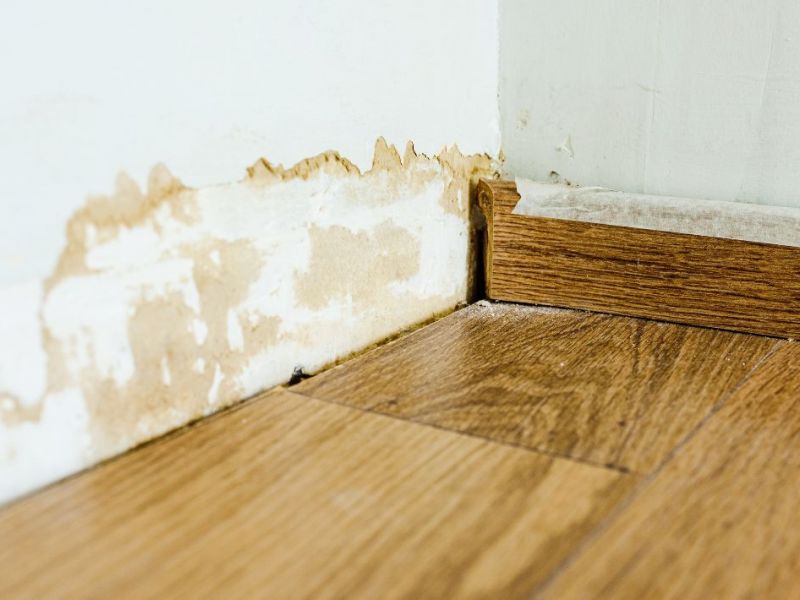 What Is The Average Cost Of Water Damage Restoration In Terrell