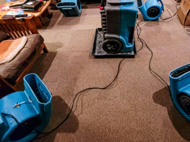 What Is The Average Cost Of Water Damage Restoration In Crockett Tx