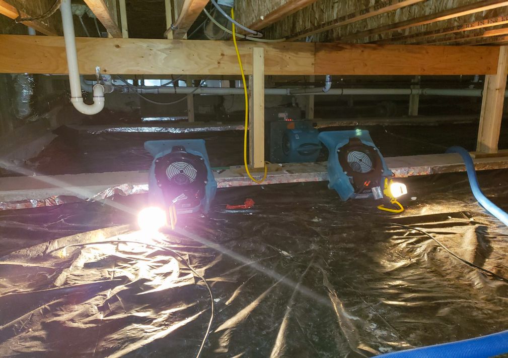 What Is The Average Cost Of Water Damage Restoration In Cleveland Tx