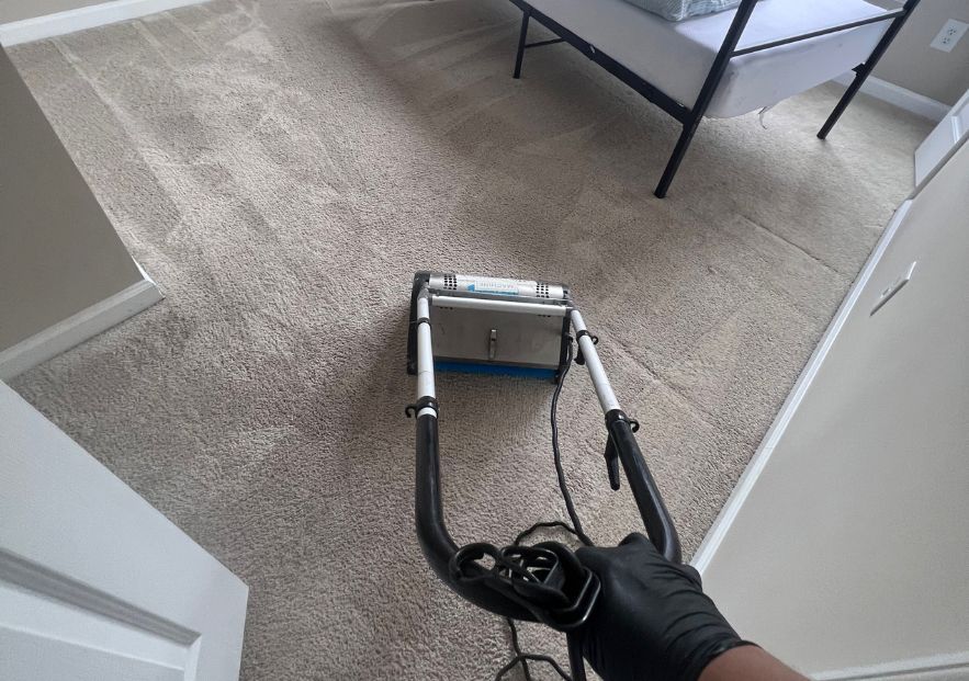What Is The Average Cost Of Carpet Cleaning In Gobles Mi