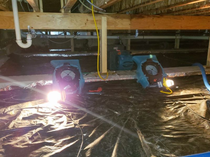 What Is The Average Cost Of Water Damage In Anthem