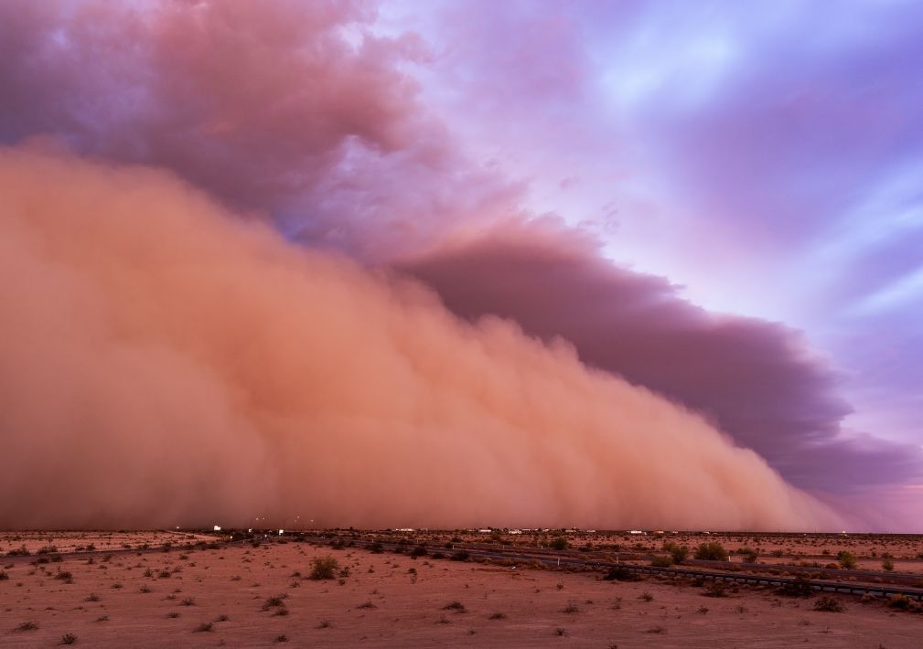 What Is The Average Cost Of Storm Damage Restoration In Sun City West