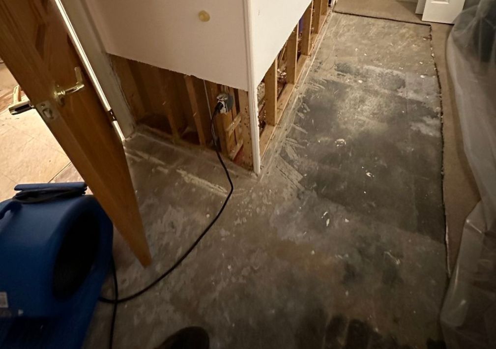 What Is The Average Cost Of Water Damage Restoration In Poteet