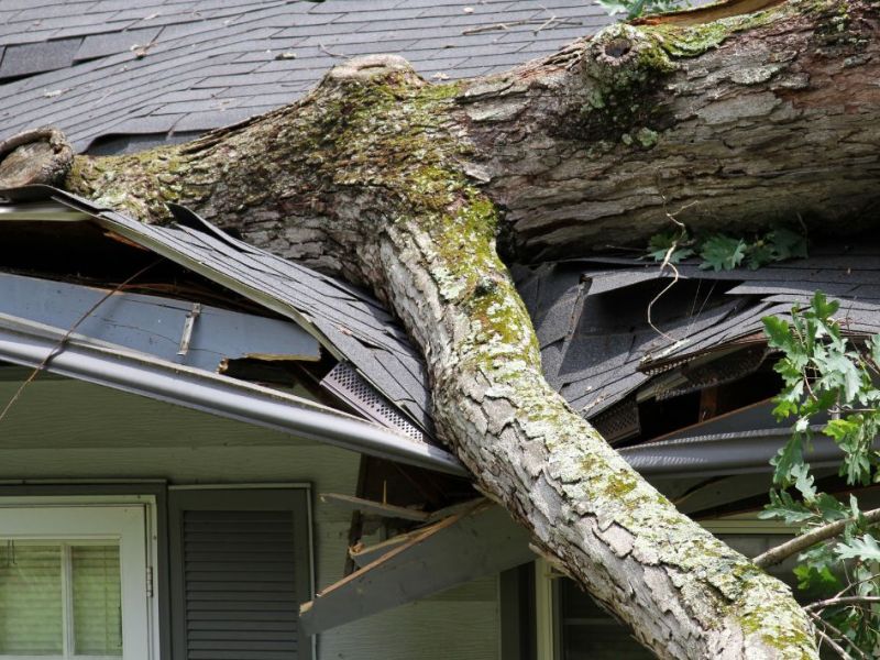 What Is The Average Cost Of Storm Damage Restoration In Helotes