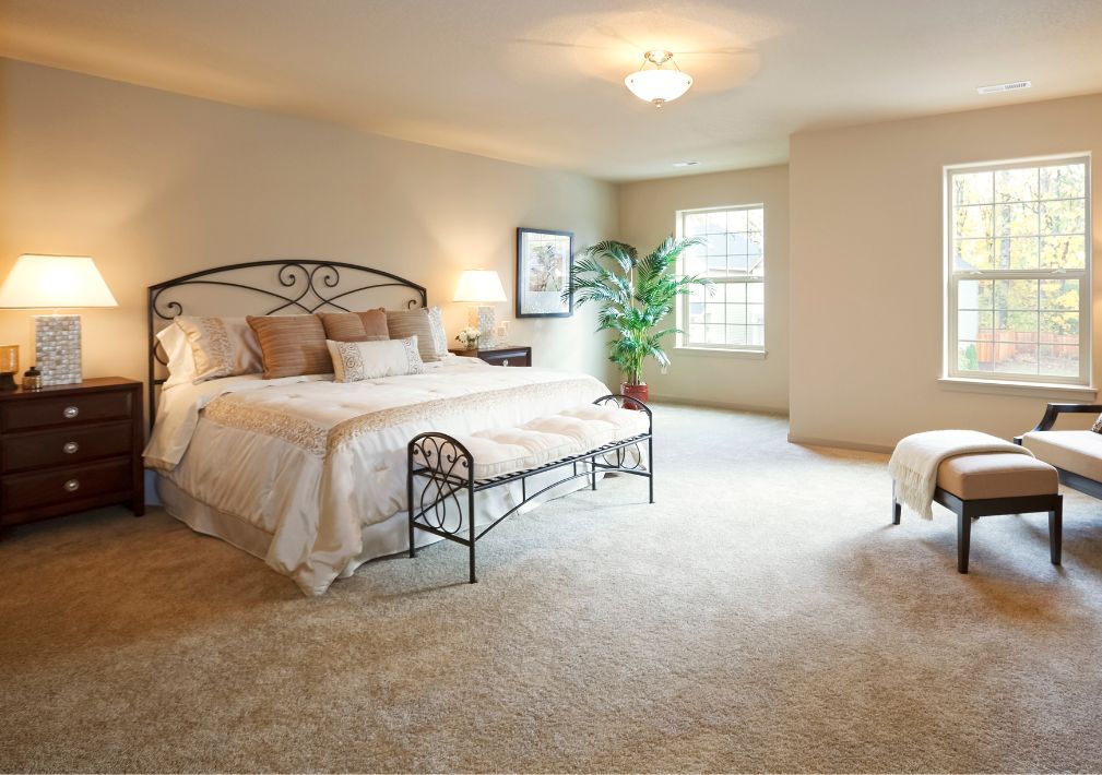 What Is The Average Cost Of Carpet Cleaning In Pipe Creek Tx