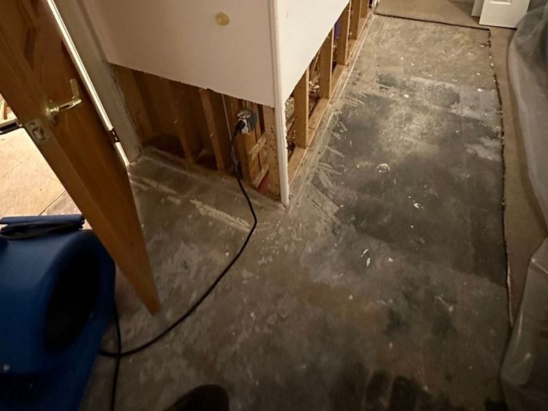 What Is The Average Cost Of Water Damage Restoration In Poteet