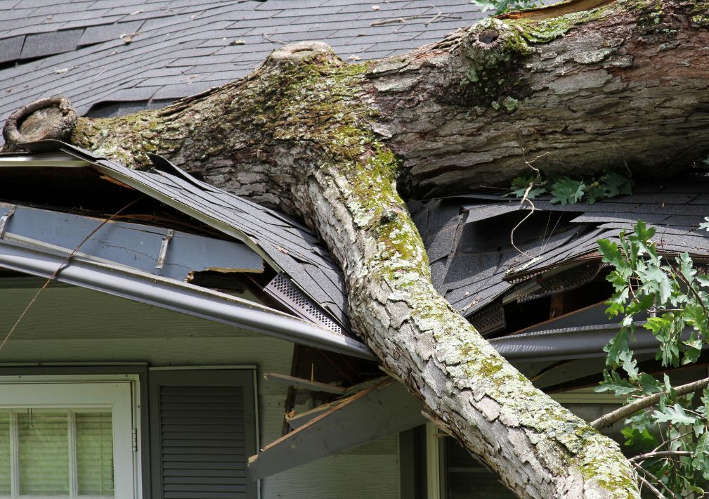 What Is The Average Cost Of Storm Damage Restoration In Helotes