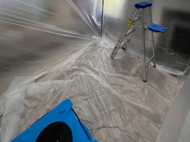 What Is The Average Cost Of Mold Remediation In Salisbury