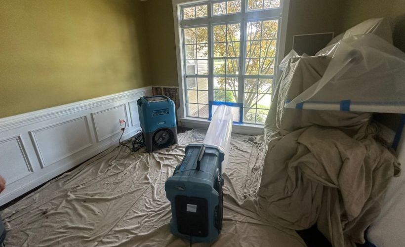 What is the Average Cost of Water Damage Restoration in Vanceboro?