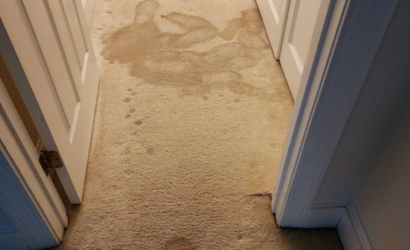 What Is The Average Cost Of Water Damage Restoration In Greenville