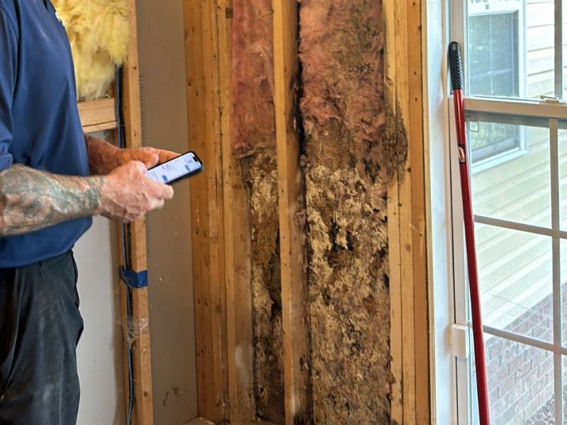 What Is The Average Cost Of Mold Damage Restoration In Goldsboro Nc