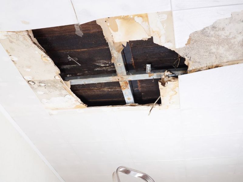 What Is The Average Cost Of Water Damage In Rocky Mount Nc
