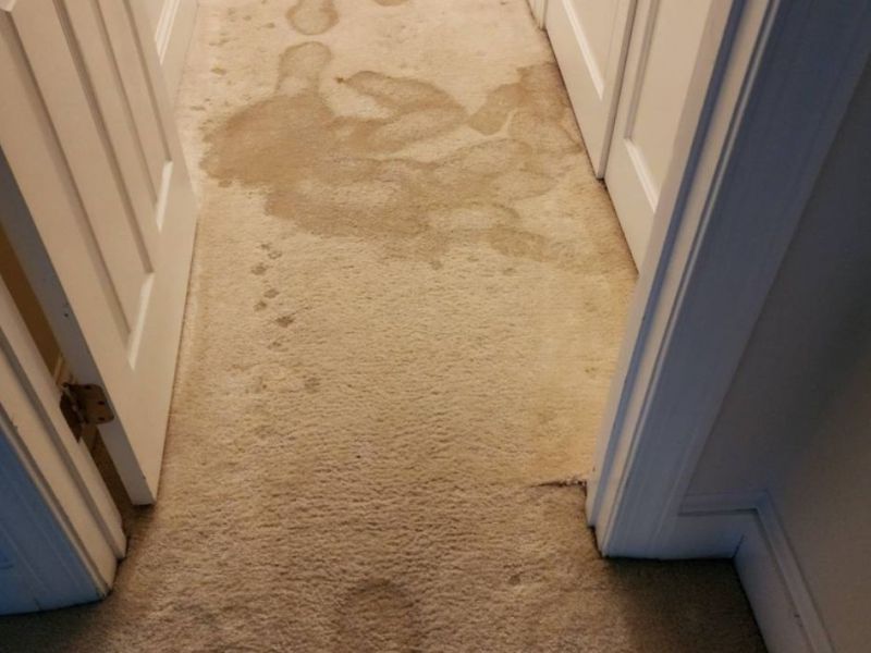 What Is The Average Cost Of Water Damage Restoration In Greenville