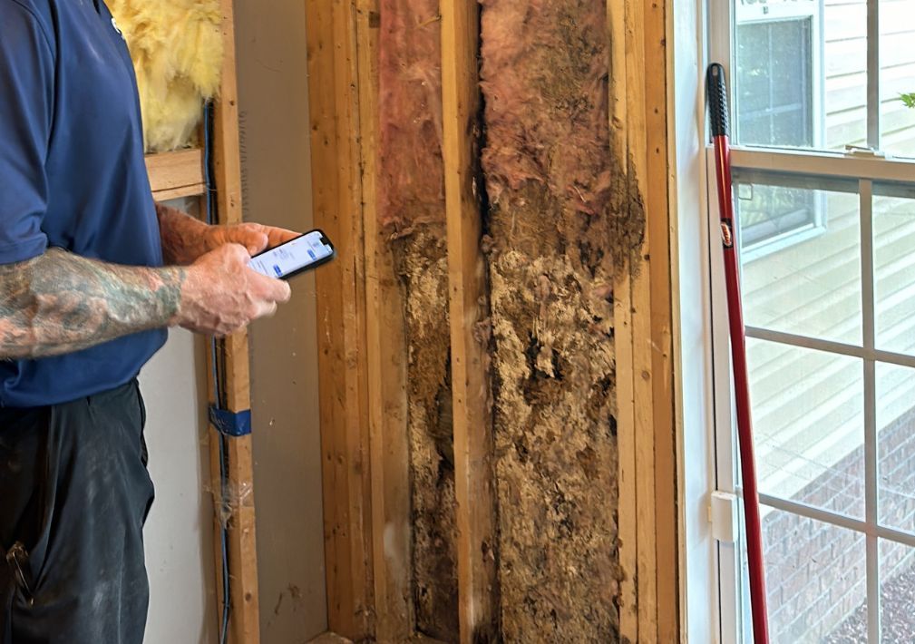 What Is The Average Cost Of Mold Damage Restoration In Goldsboro Nc