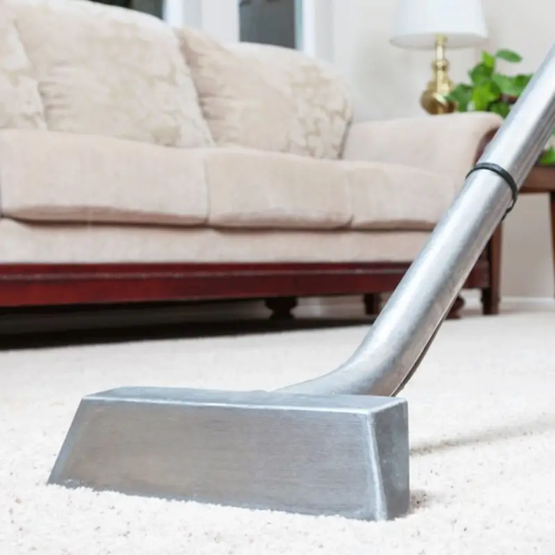 Professional Carpet Cleaning Service In Kinston, NC