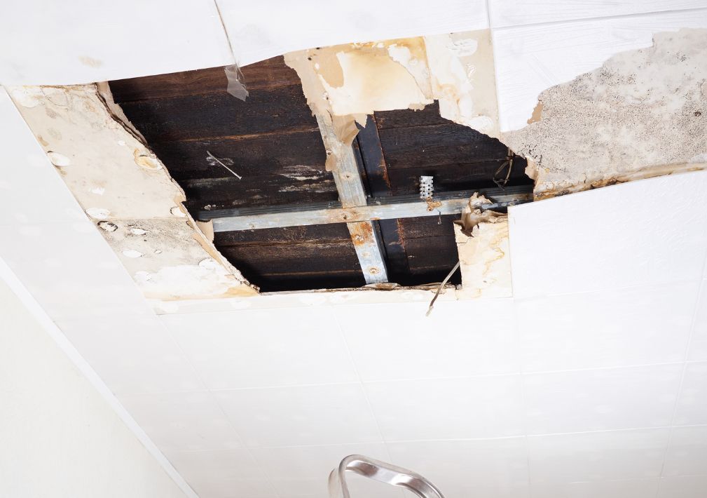 What Is The Average Cost Of Water Damage In Rocky Mount Nc