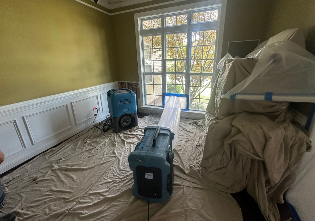 What Is The Average Cost Of Water Damage Restoration In Vanceboro