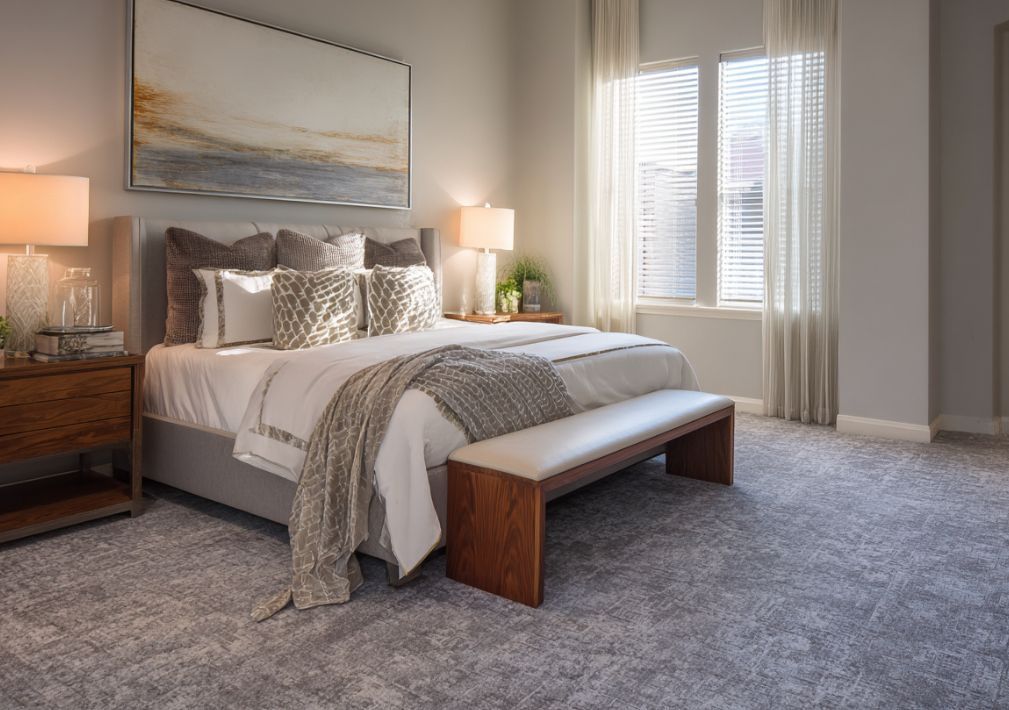 What Is The Average Cost Of Carpet Cleaning In Greenville Sc