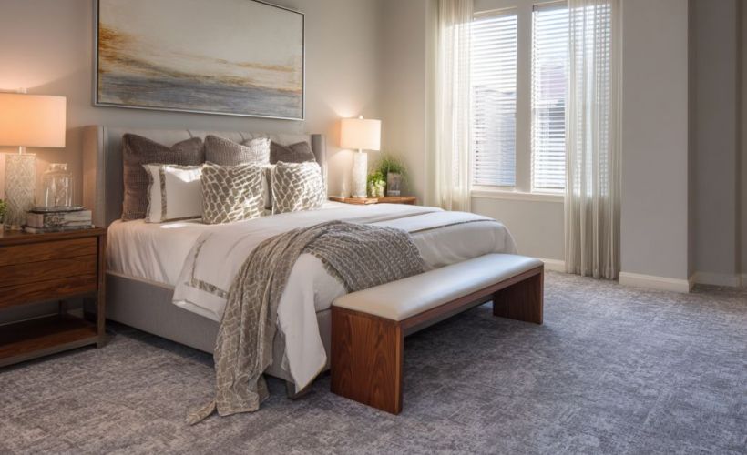 What Is The Average Cost Of Carpet Cleaning In Greenville Sc