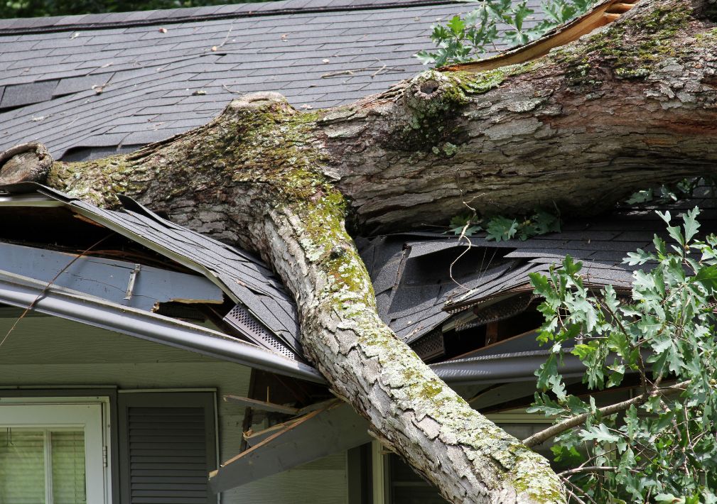 What Is The Average Cost Of Storm Damage Restoration In Reidville Sc