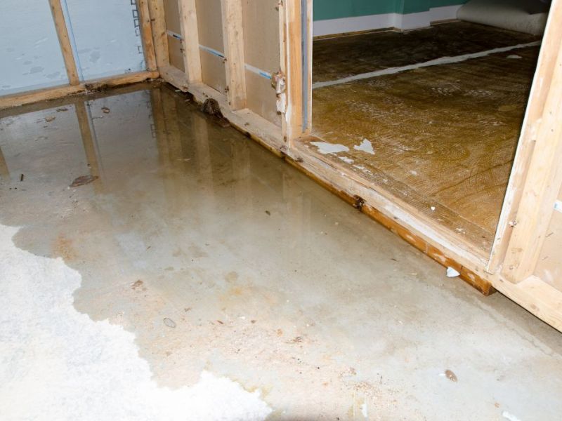 What Is The Average Cost Of Water Damage Restoration In Norfolk Va