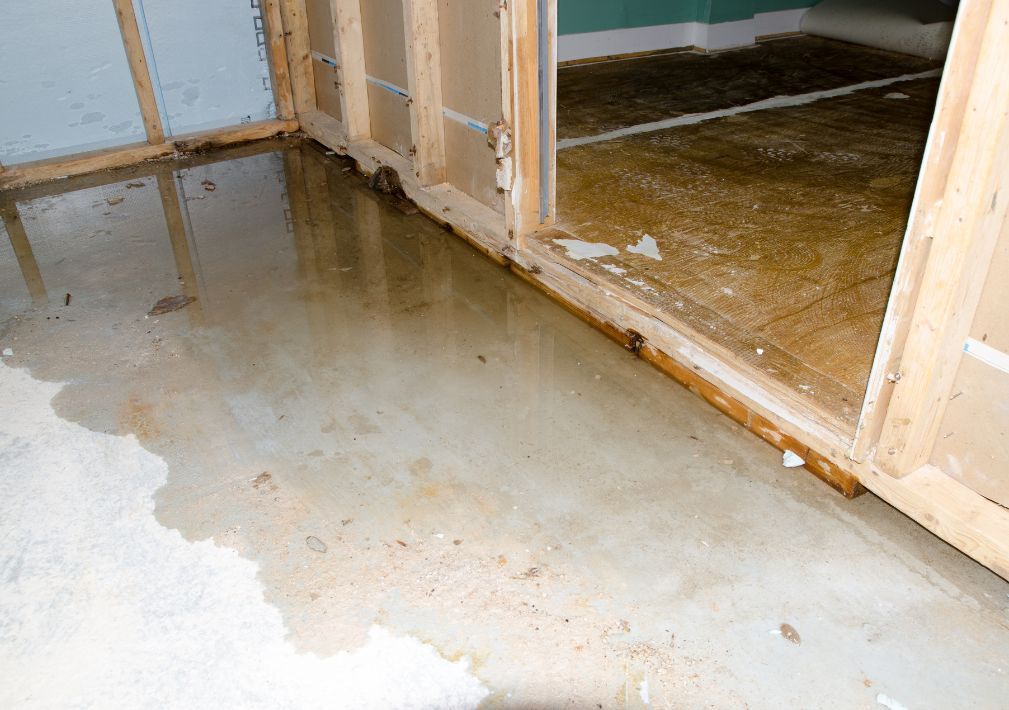 What Is The Average Cost Of Water Damage Restoration In Norfolk Va