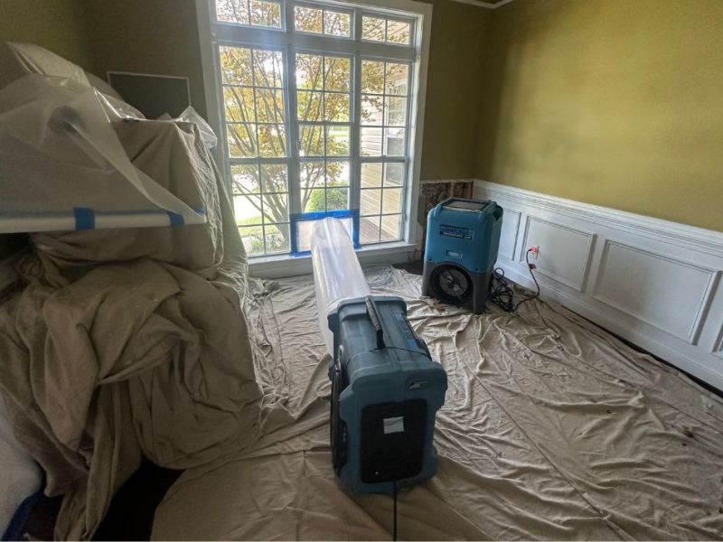 What Is The Average Cost Of Mold Remediation In Portsmouth Va