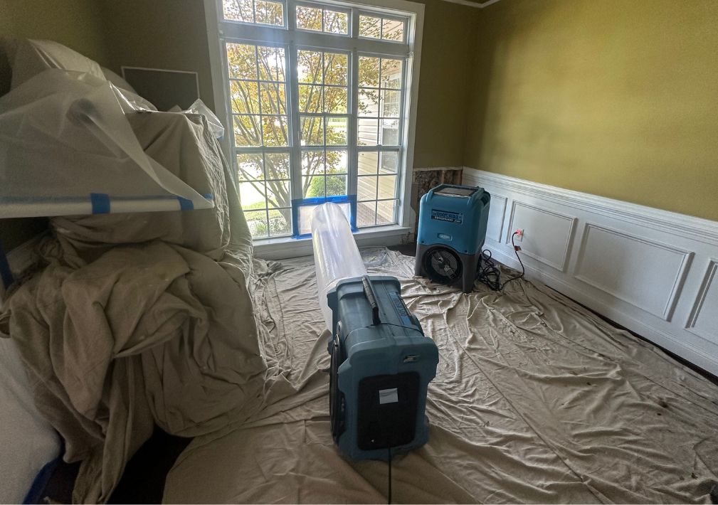 What Is The Average Cost Of Mold Remediation In Portsmouth Va