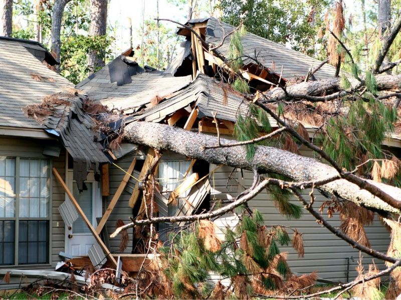 What Is The Average Cost Of Storm Damage Restoration In Suffolk Va