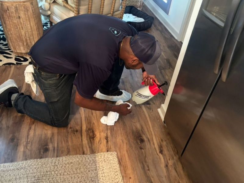 What Is The Average Cost Of Odor Removal In Hampton Roads Va