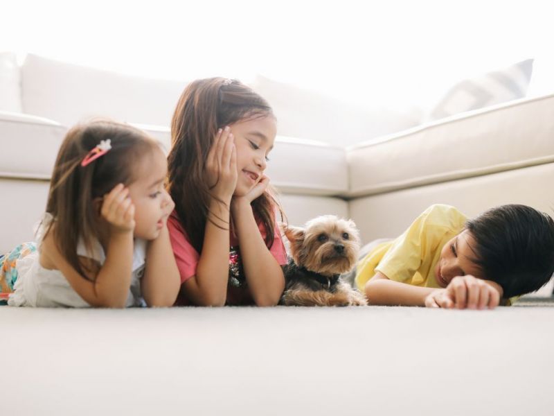 What Is The Average Cost Of Odor Removal In Glastonbury