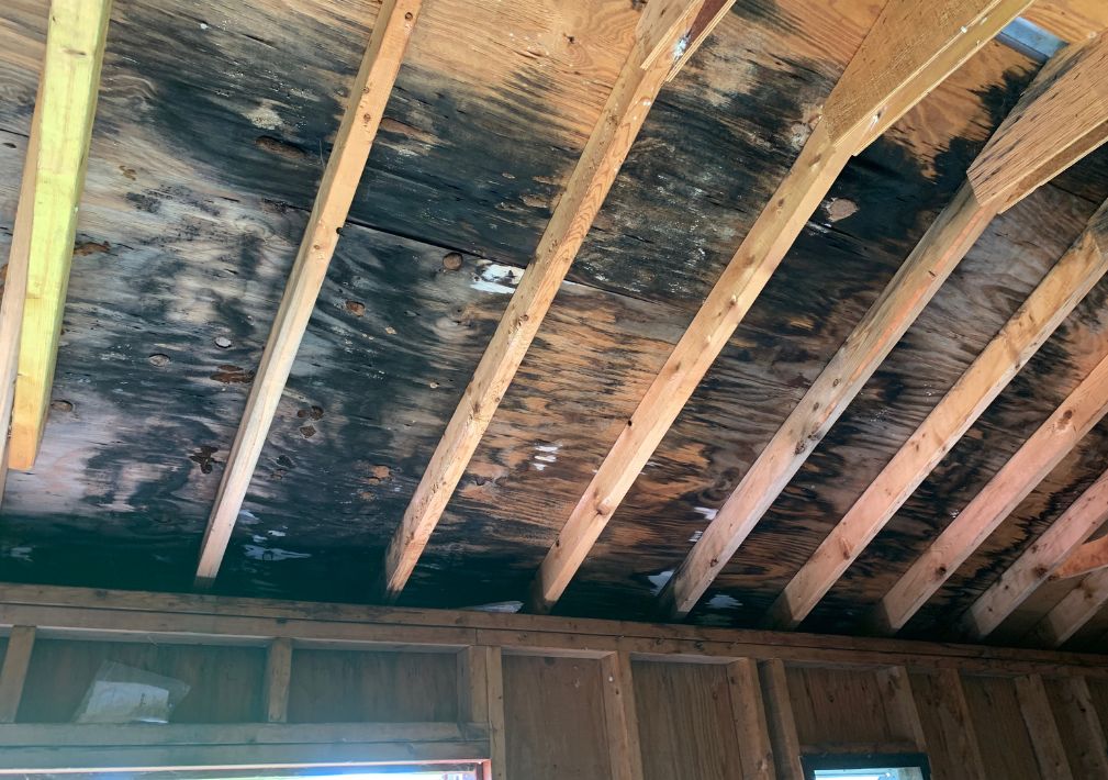What Is The Average Cost Of Mold Restoration In Simsbury Ct