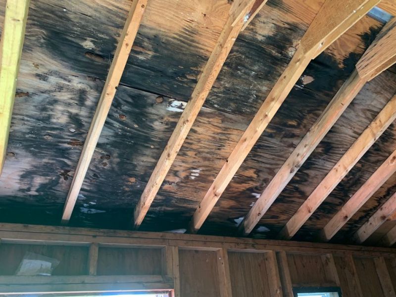 What Is The Average Cost Of Mold Restoration In Simsbury Ct