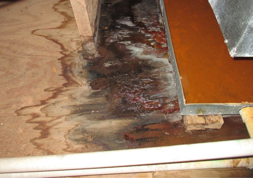 What Is The Average Cost Of Water Damage Restoration In Las Vegas